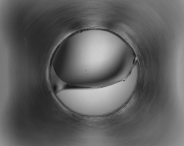 X0000091901293200709261651