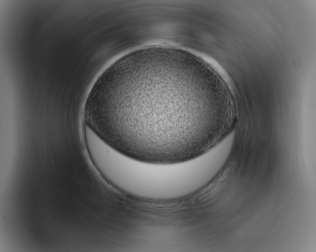 X0000091901295200709261651