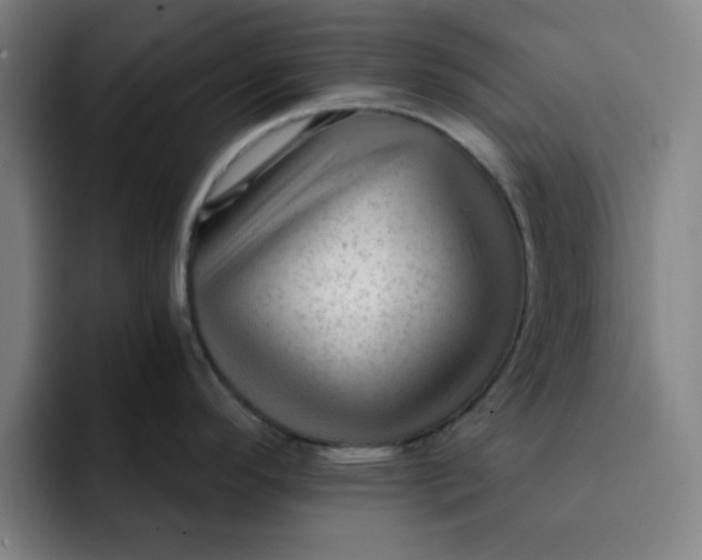 X0000091901296200709261651