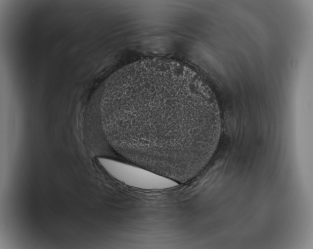 X0000091901297200709261650