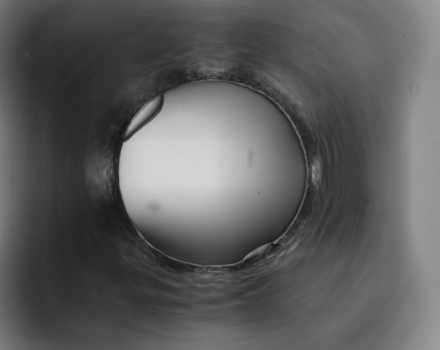 X0000091901299200709261650