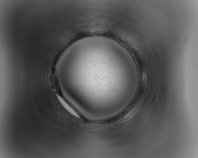 X0000091901300200709261650