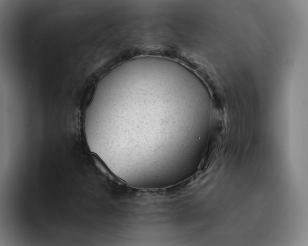 X0000091901301200709261650