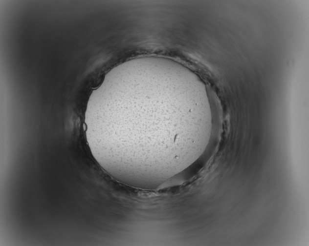 X0000091901302200709261650