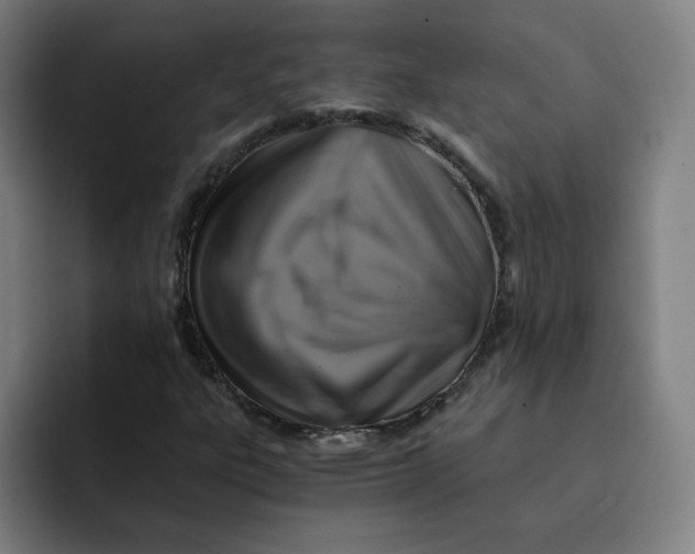 X0000091901303200709261650