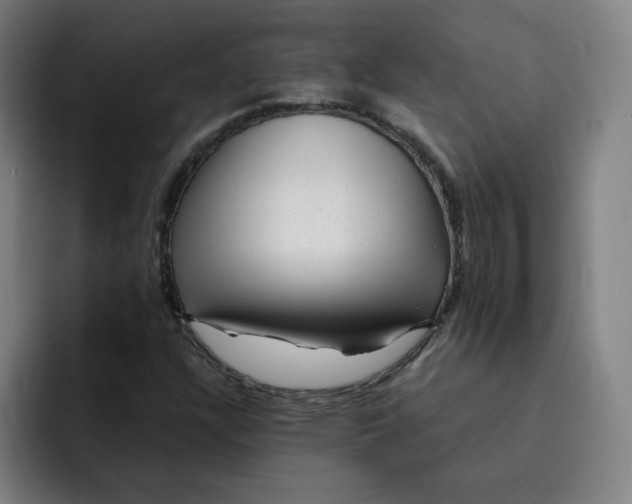 X0000091901304200709261650