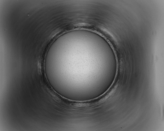 X0000091901305200709261650