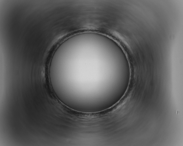 X0000091901307200709261650