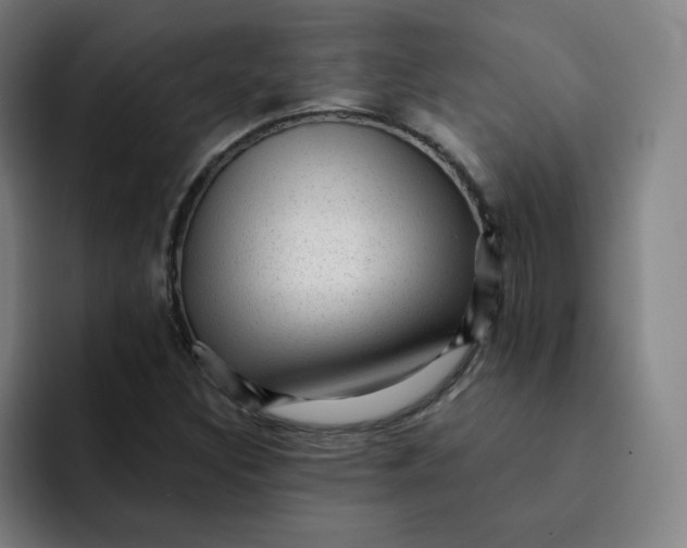 X0000091901308200709261650