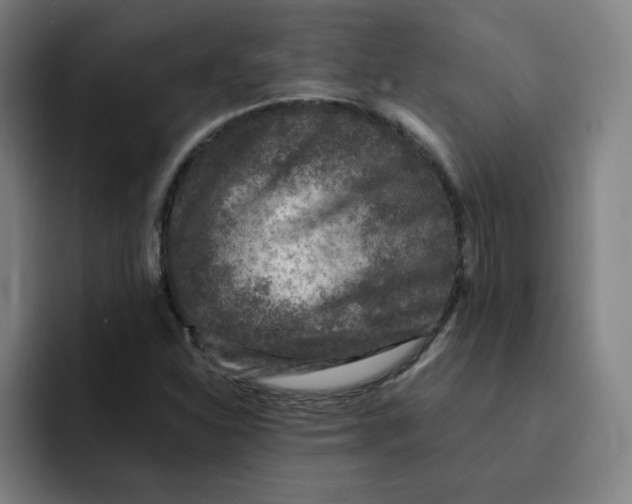 X0000091901310200709261650