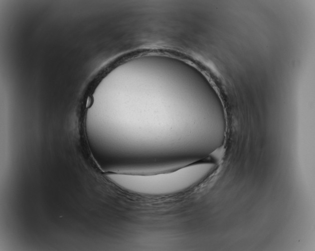 X0000091901311200709261650