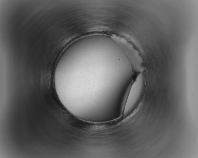 X0000091901313200709261650