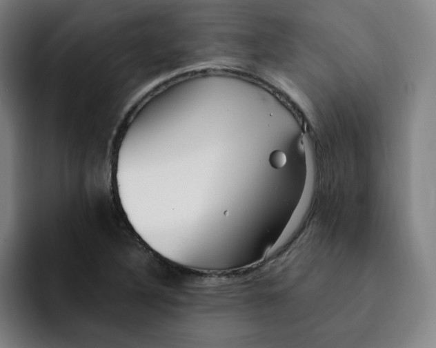 X0000091901316200709261650