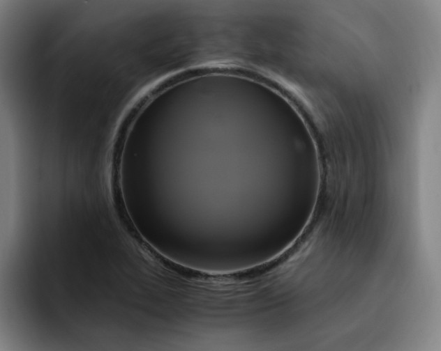 X0000091901319200709261650