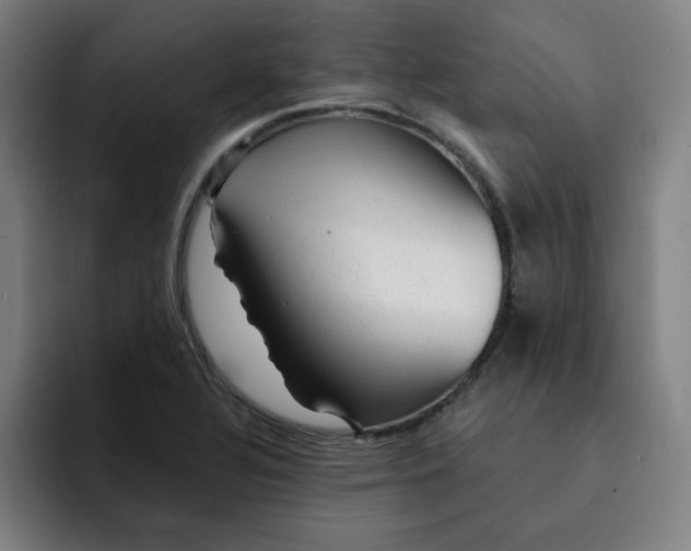 X0000091901320200709261650