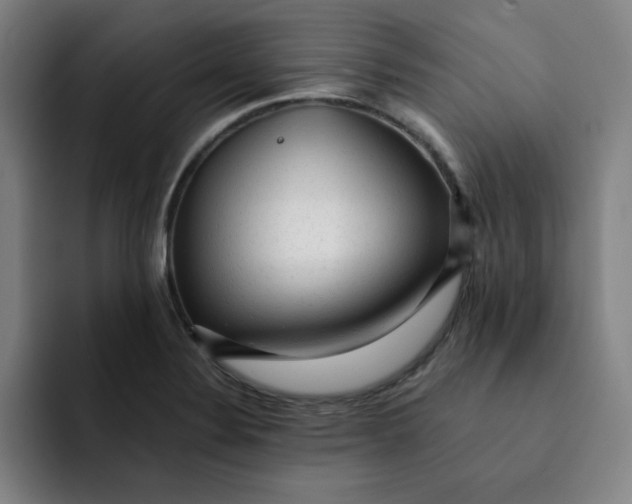 X0000091901324200709261651