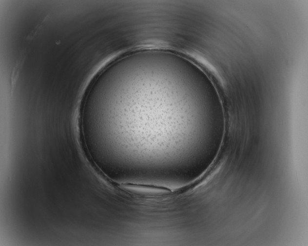 X0000091901325200709261651