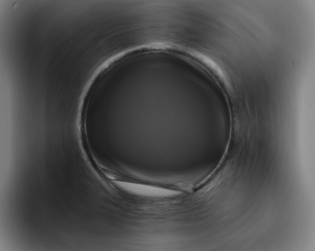 X0000091901327200709261651