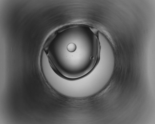 X0000091901328200709261651