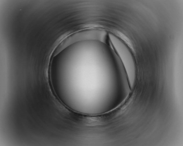 X0000091901330200709261651