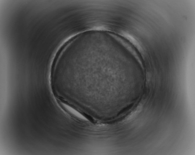 X0000091901331200709261651