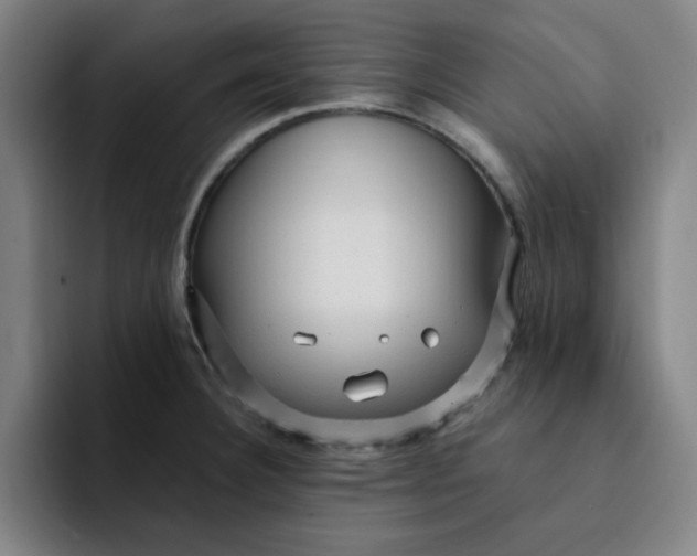 X0000091901332200709261651