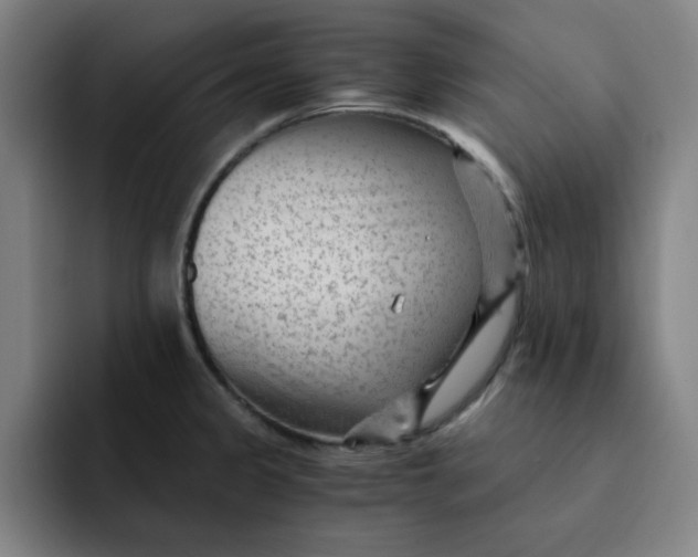 X0000091901333200709261651