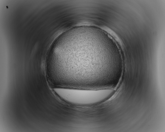 X0000091901337200709261651