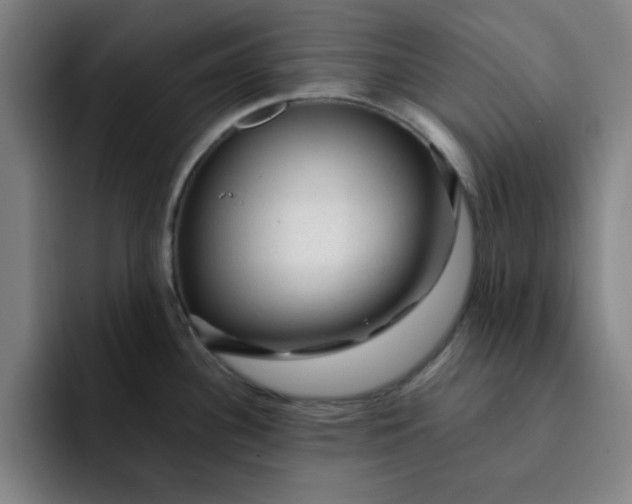 X0000091901340200709261651