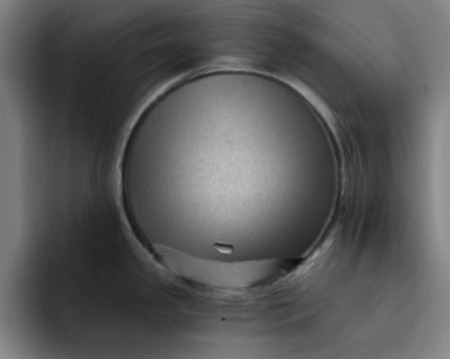 X0000091901341200709261651