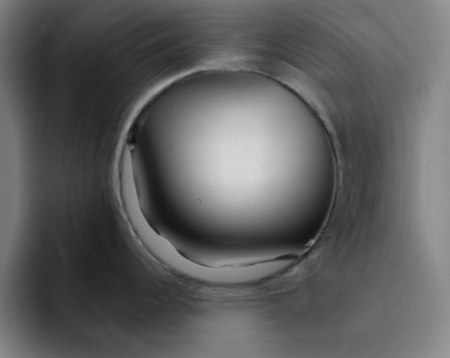 X0000091901344200709261651