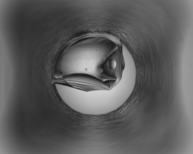 X0000091901345200709261650