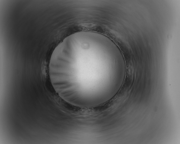 X0000091901346200709261650