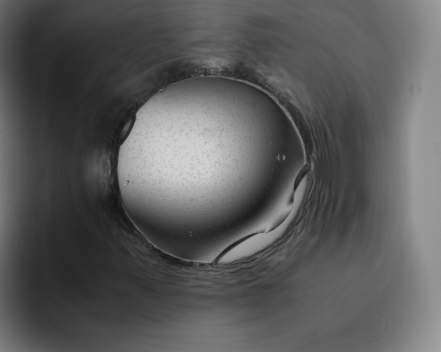 X0000091901347200709261650