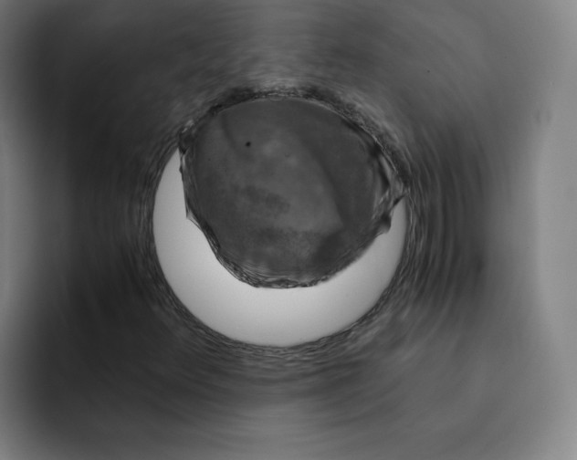 X0000091901348200709261650