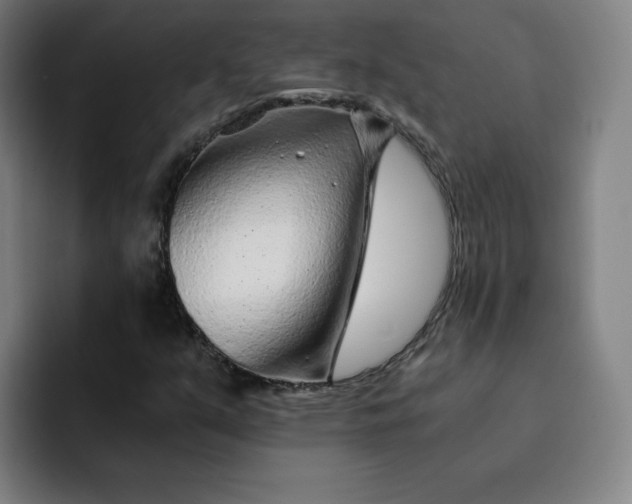 X0000091901351200709261650