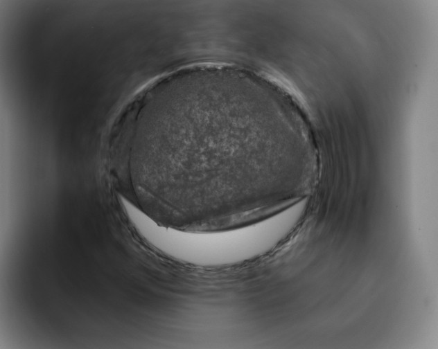 X0000091901352200709261650