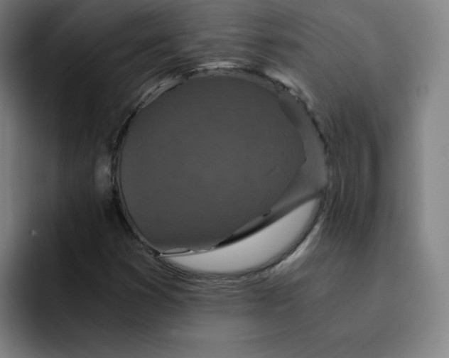 X0000091901353200709261650