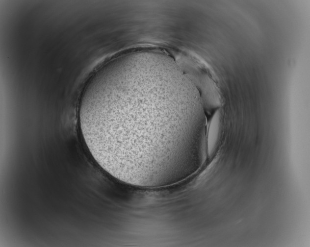 X0000091901355200709261650