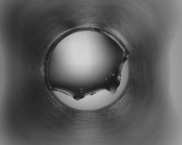 X0000091901356200709261650