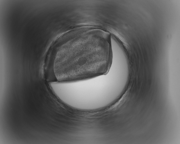 X0000091901357200709261650