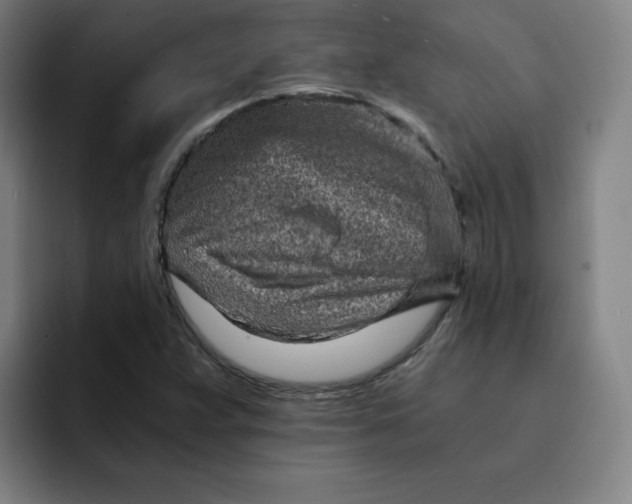 X0000091901359200709261650