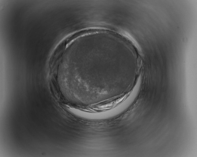 X0000091901360200709261650