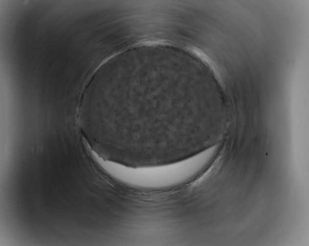 X0000091901361200709261650