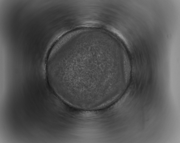 X0000091901362200709261650