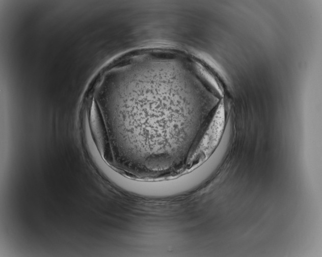 X0000091901364200709261650