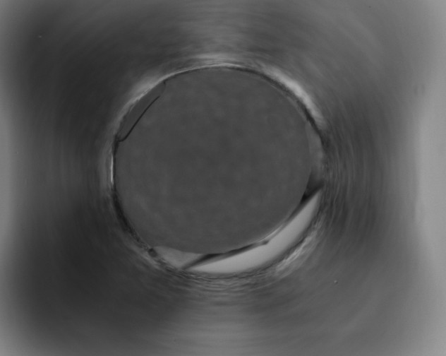 X0000091901365200709261650