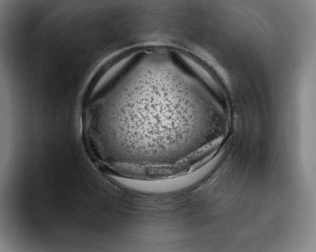 X0000091901368200709261650