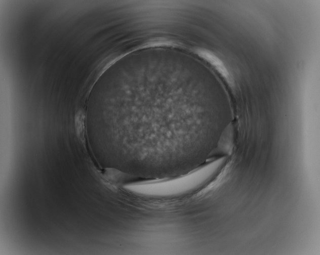 X0000091901369200709261650