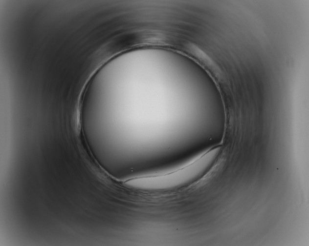 X0000091901370200709261650